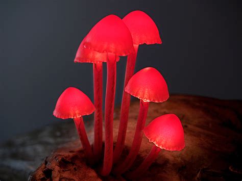 Amazing LED Mushroom Lamps Turn Your Home Into A Fairytale Forest