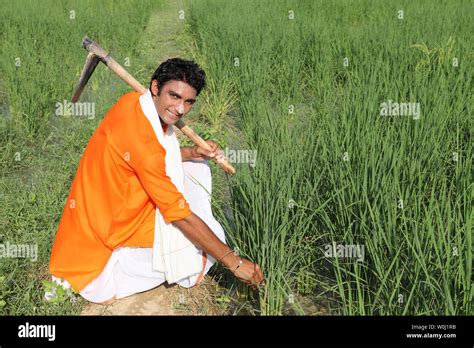 Indian Farmer Working In A Field Stock Photo Alamy