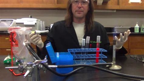 Serial Dilutions Youtube