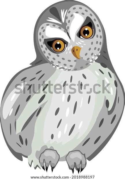 Cartoon Tawny Owl Strix Aluco Isolated Stock Vector Royalty Free