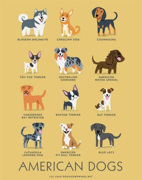 Wonderfully Cute Posters Reveal The Geographic Origins Of Common Dog Breeds – Pulptastic