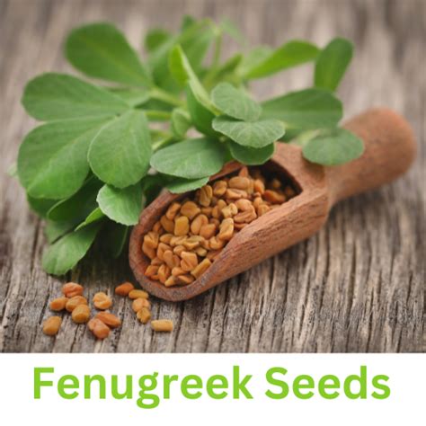 Fenugreek Seeds Equirapha