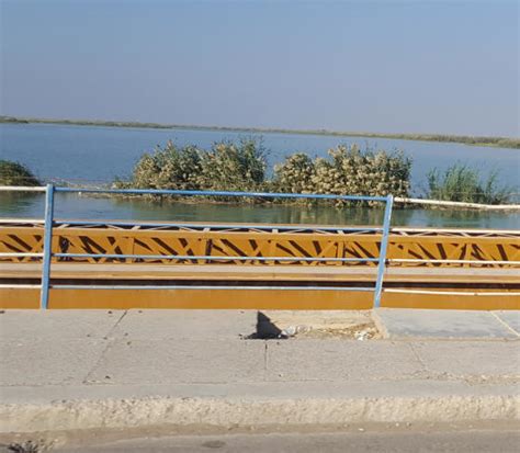 Tigris