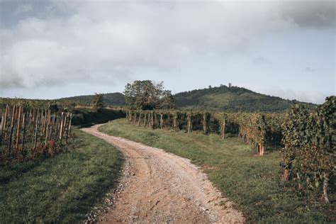 13 Must Visit Castles Near Strasbourg A Locals Guide