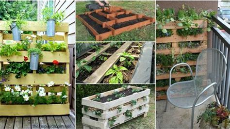 Reusing Wooden Pallets In The Garden Fasci Garden