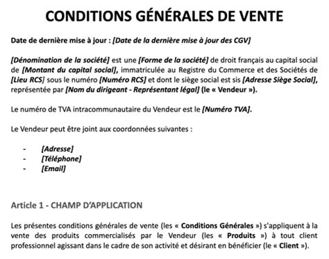 Conditions Générales De Vente Tout Savoir Sur Les Cgv