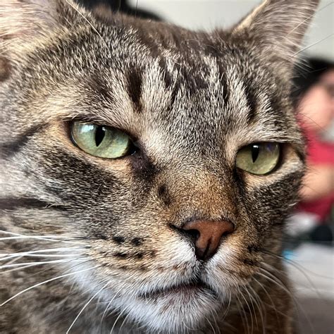 Lonsdale Place Veterinary Clinic | North Vancouver BC