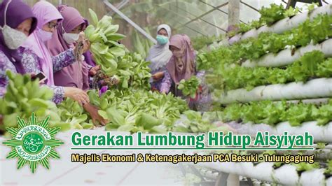 Gerakan Lumbung Hidup Aisyiyah Pca Besuki Tulungagung Youtube