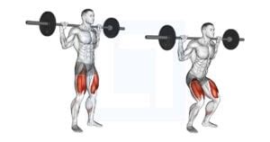 barbell quarter squat guide benefits  form