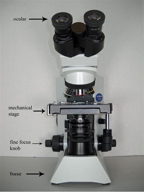 Microscope Diaphragm Function