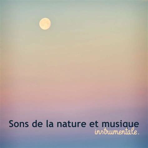 Rw Musique Instrumentale Aux Sons De La Nature Sons De La Nature Et