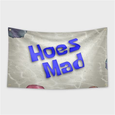 Hype Flags - Hoes Mad Flag | Funny Dorm Room Tapestry – HypeFlags