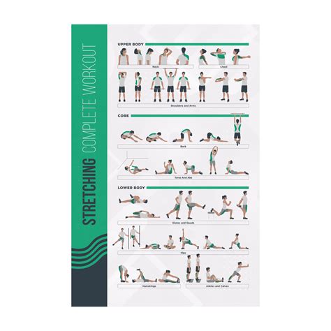 Fitmate Stretching Workout Exercise Poster Home Gym Decor X