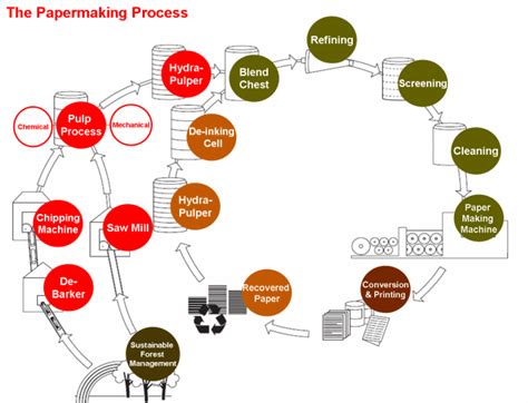 Papermaking Process