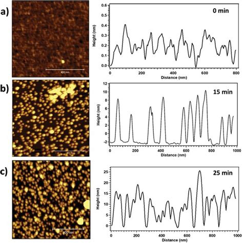 Representative Afm Topographical Images M M And Corresponding