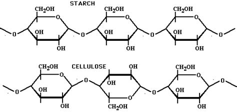 Cellulose Vs Starch Structure