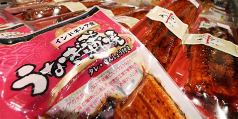 Overfishing risk clouds Indonesian eel's future in Japan - Nikkei Asia