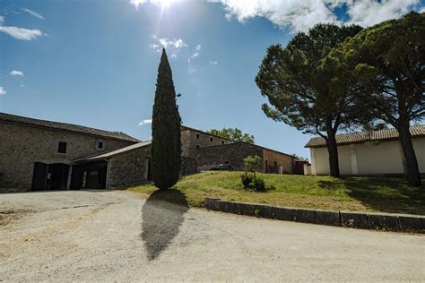 Cest Le Printemps Le Temps Des Retrouvailles Domaine Du Colombier