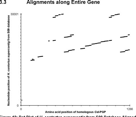 Figure 12 From P Glycoprotein Genes In Haemonchus Contortus Semantic