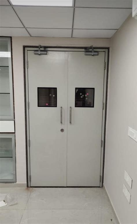 Blue Hinged Hmps Steel Door For Commercial At Rs Square Meter In