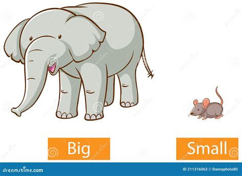 Opposite Adjectives Words With Big And Small Stock Vector