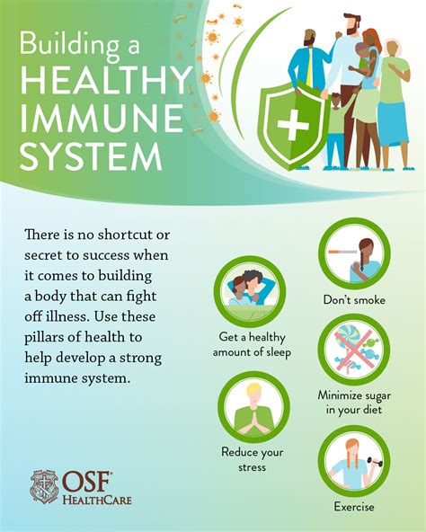 Get To Know The Immune System Osf Healthcare