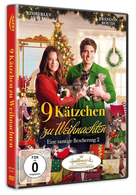 The Nine Kittens Of Christmas 2021 Hallmark Brandon Routh New