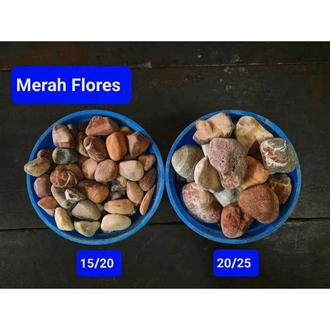 Jual Batu Merah Flores 10kg Hias Taman Hias Aquarium Batu Koral