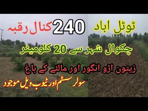 Zari Raqba For Sale In Punjab Pakistan Agricultural Land For Sale In