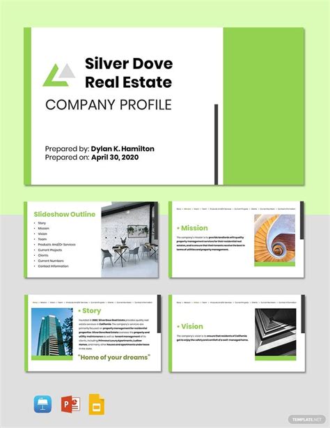 Professional Profile Template In Word Download