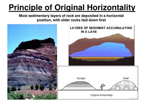 PPT - Sedimentary Rocks PowerPoint Presentation - ID:2689116