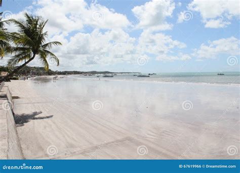 Maragogi Brazil stock photo. Image of praia, tropics - 67619966