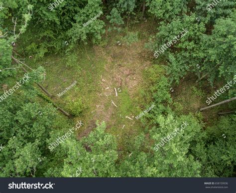 Aerial View Forest Clearing Stock Photo 658159936 | Shutterstock