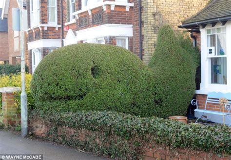 Whale Hedge Sculpture Proves A Big Hit In Seaside Town Daily Mail Online