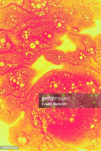 Glitter Cells Photos And Premium High Res Pictures Getty Images