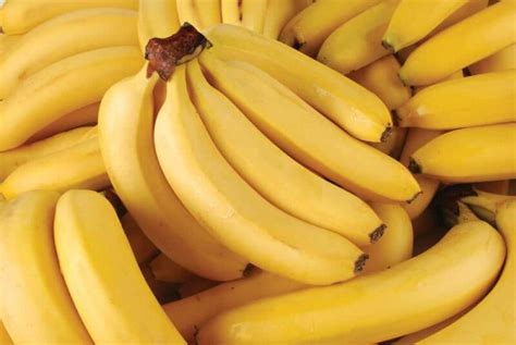 Como Conservar Banana T Cnicas E Truques Profissionais