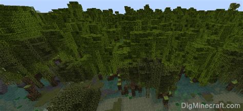 Mangrove Swamp In Minecraft