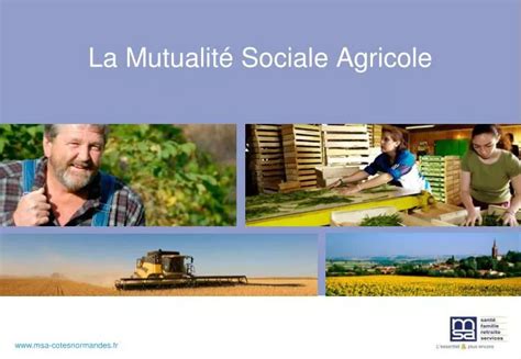 PPT La Mutualité Sociale Agricole PowerPoint Presentation free