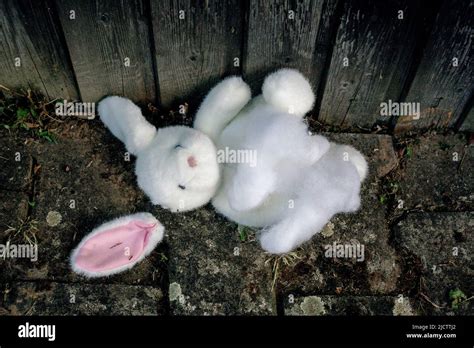 Adorable Stuffed White Bunny Lying Destroyed On The Floor Stock Photo