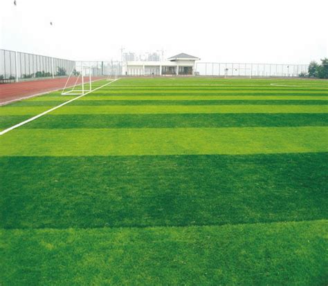 Những loại cỏ nhân tạo thông dụng hiện nay | Tennis court, Soccer field ...