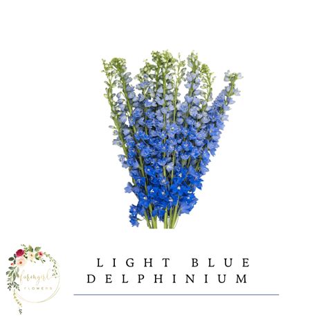 Delphinium Light Blue - Farmgirl Flowers