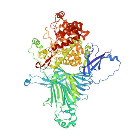 Rcsb Pdb Xqg Crystal Structure Of A Pl Exo Rhamnogalacturonan