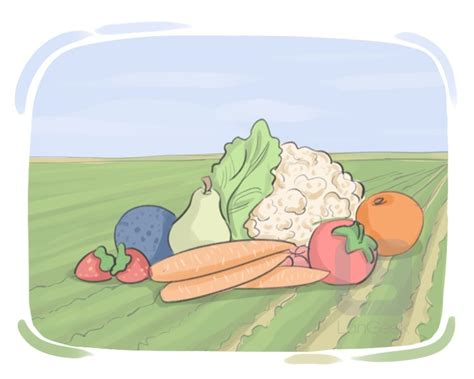 definition meaning  produce picture dictionary