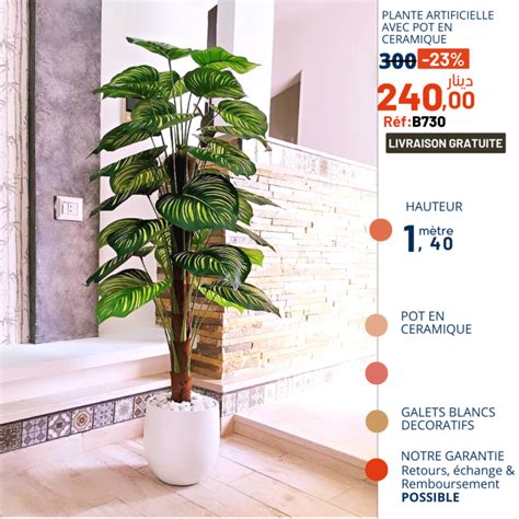 Calathea Artificiel En Pot En C Ramique B Plantes D Int Rieur