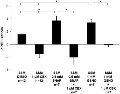 Mitochondrial K Permeability Analysis Of K Influx Under