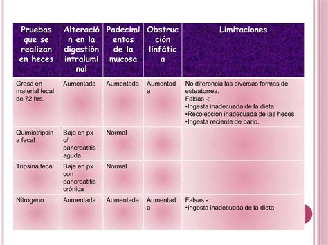 Sindrome De Malabsorcion Intestinal Ppt Descarga Gratuita