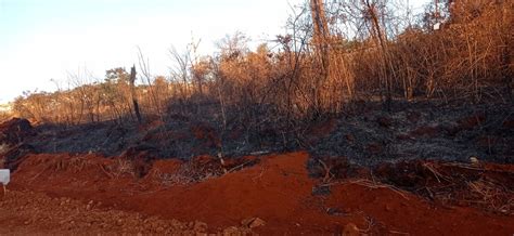 Ossada humana é encontrada em área queimada da Mata do Catingueiro em