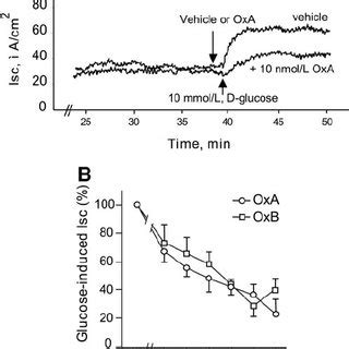 Schematic Drawing Of Inhibitory Pathways Involved In Oxa And Oxb