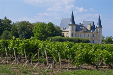 The Top Private & Group Wine Tasting Tours in the Médoc : Winerist Magazine