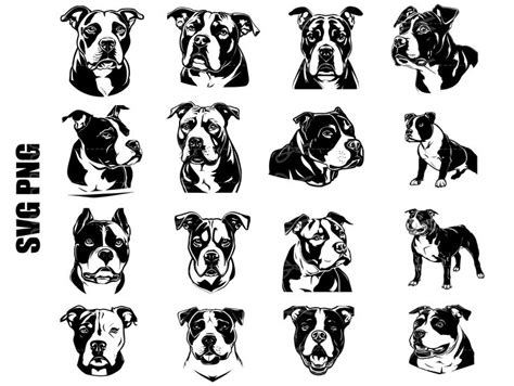 Pitbull Svg Pitbull Silhoutte Pitbull Svg Files For Cricut Pitbull